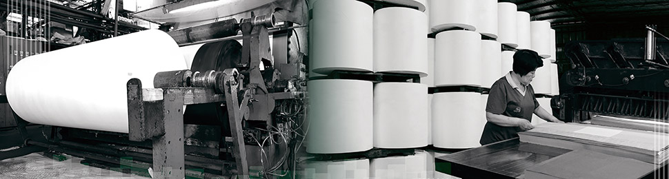 Puli Paper Manufacturing Company Limited